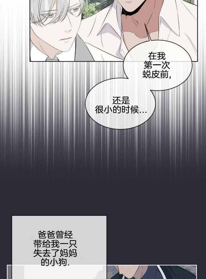 广州森林海漫画,第15话2图