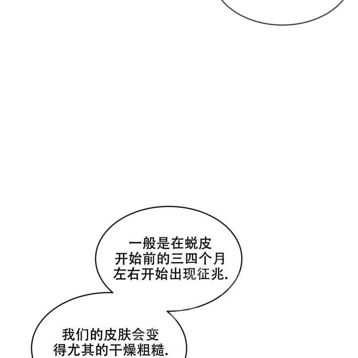 森林之海漫画,第12话2图