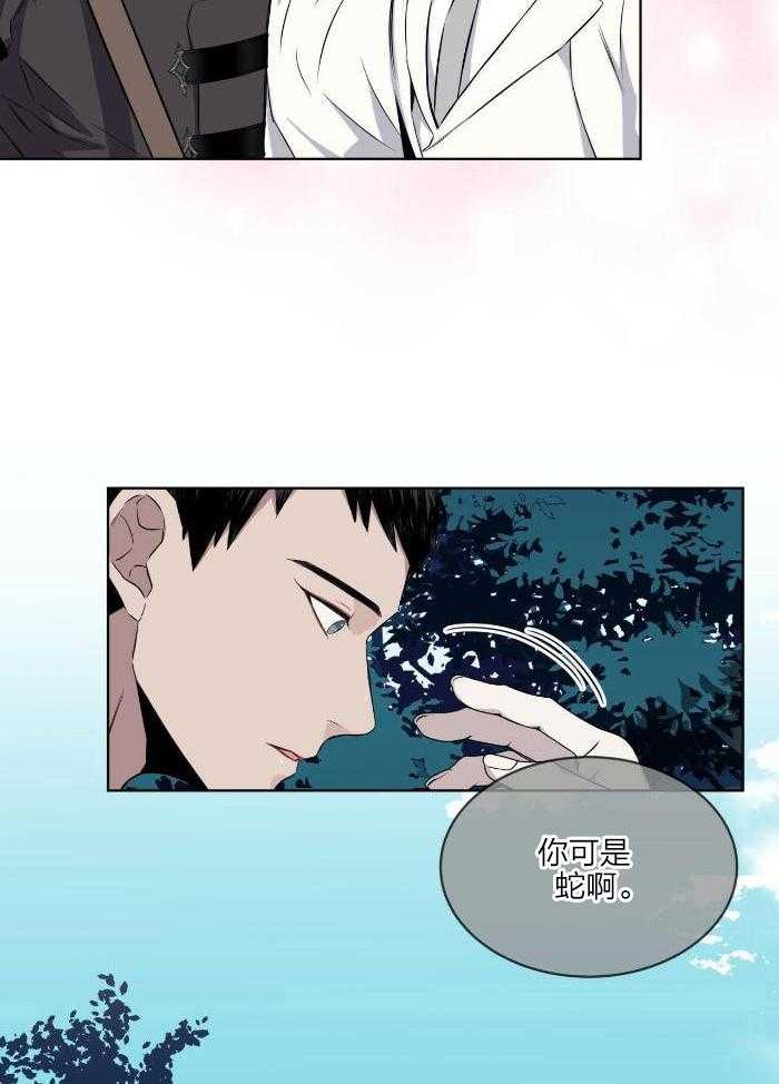 森林之海漫画,第26话1图