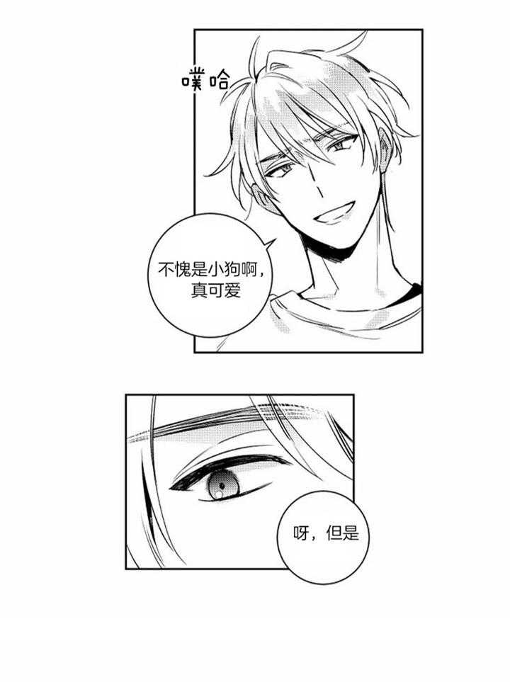 落入谁的圈套呢非麻瓜漫画,第51话2图