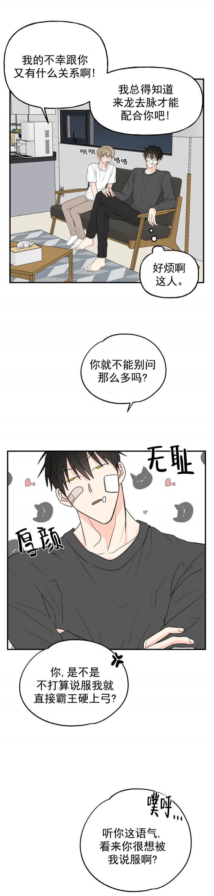 叠猫猫什么时候开始的漫画,第5话1图