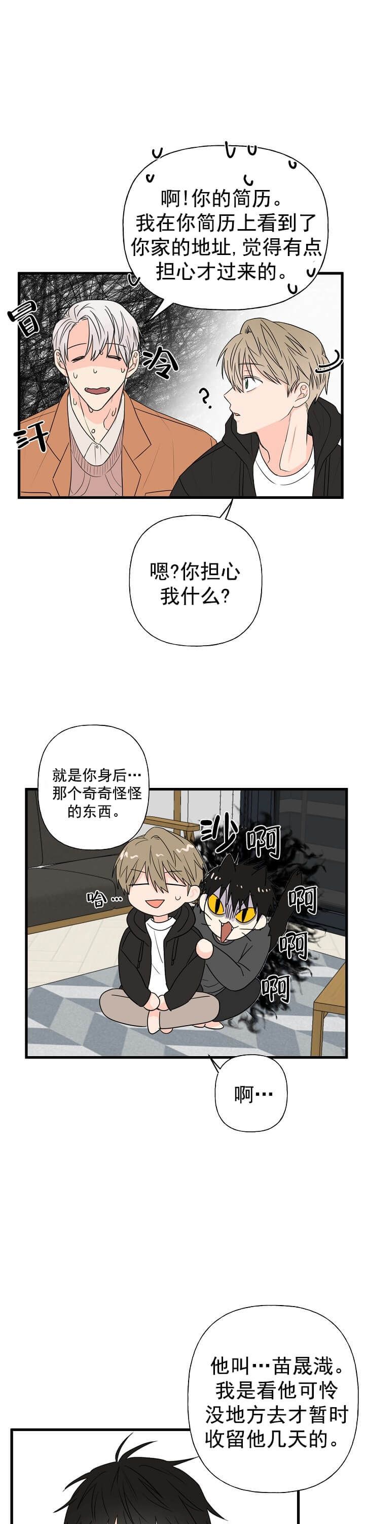 叠猫猫什么时候开始的漫画,第9话2图