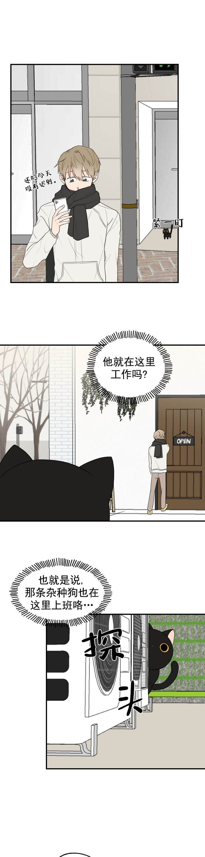 幸运猫猫图片漫画,第4话1图