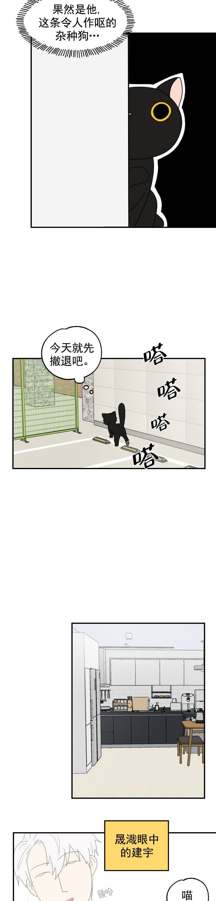 幸运从猫猫开始免费漫画,第4话2图