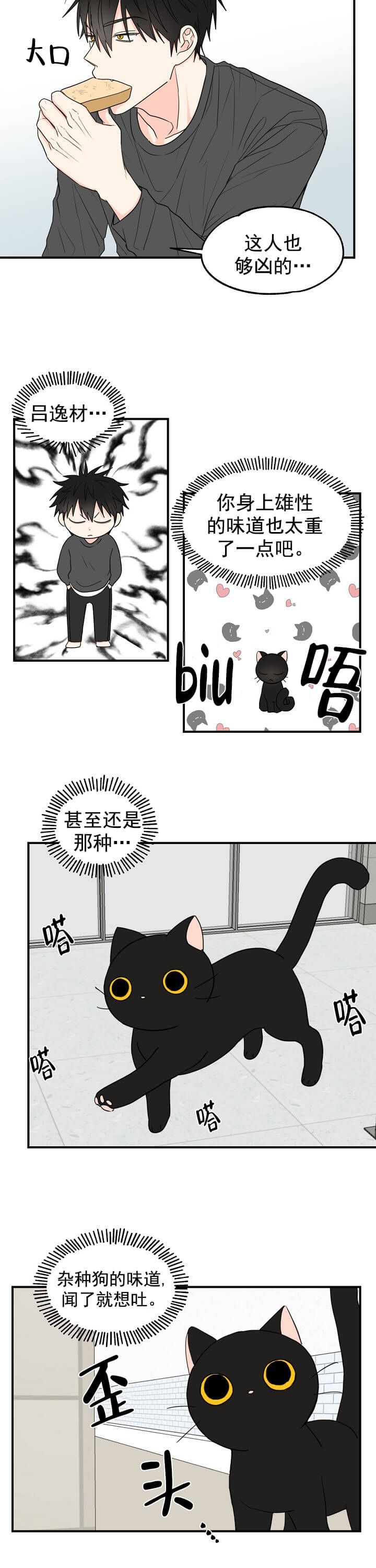 猫猫到晚上就开始叫漫画,第4话2图