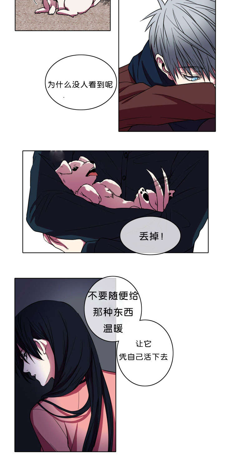 能发光的灯笼怎么做?漫画,第7话1图