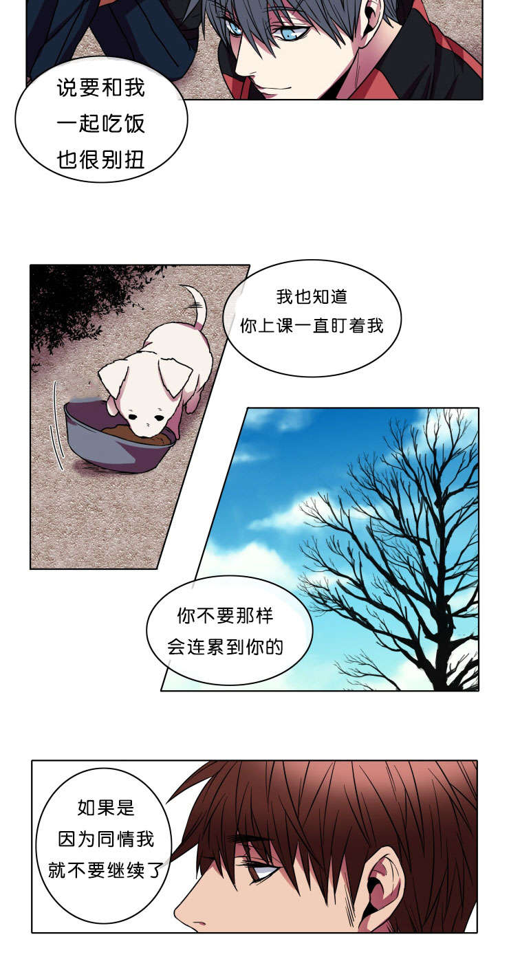 蓝色鮟鱇鱼灯笼漫画,第8话1图