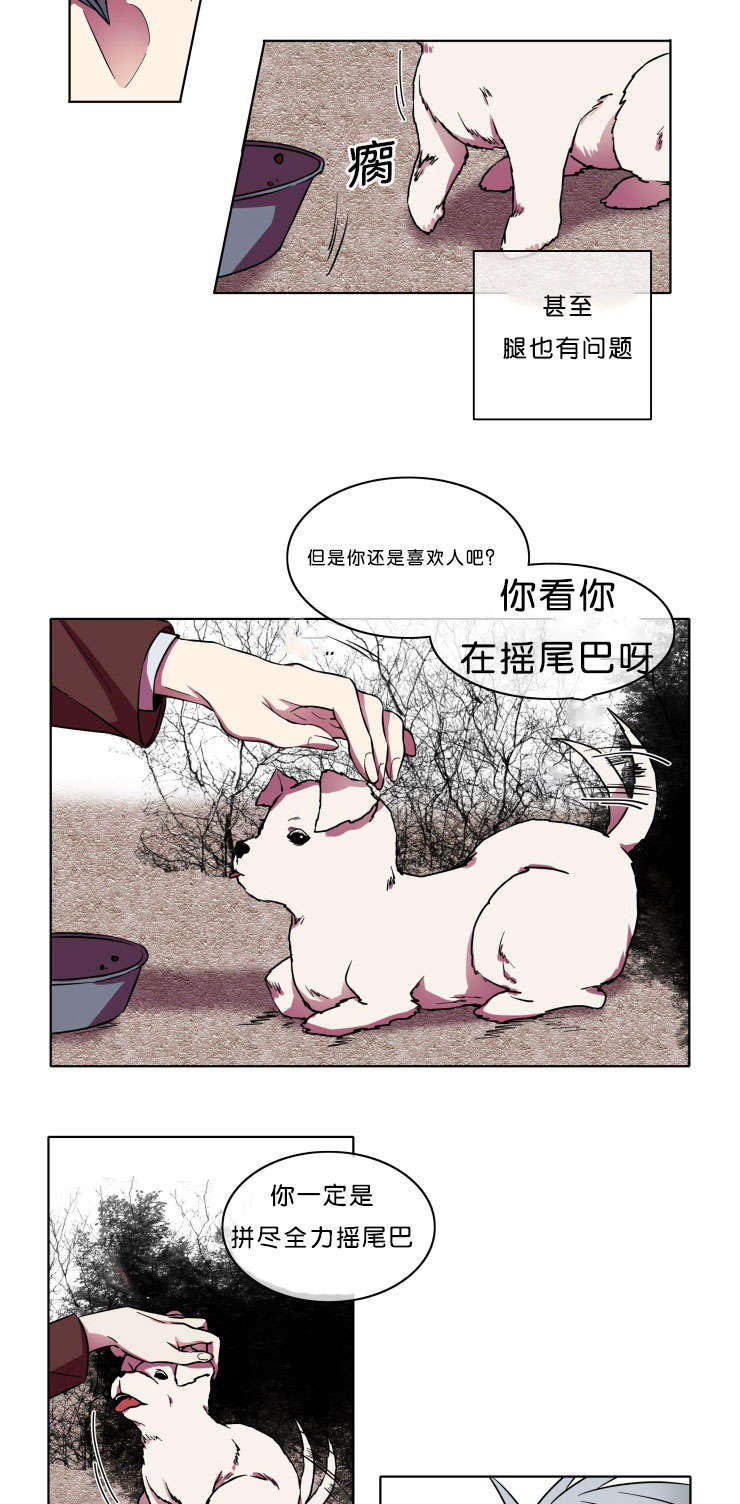 能发光的灯笼怎么做?漫画,第7话2图