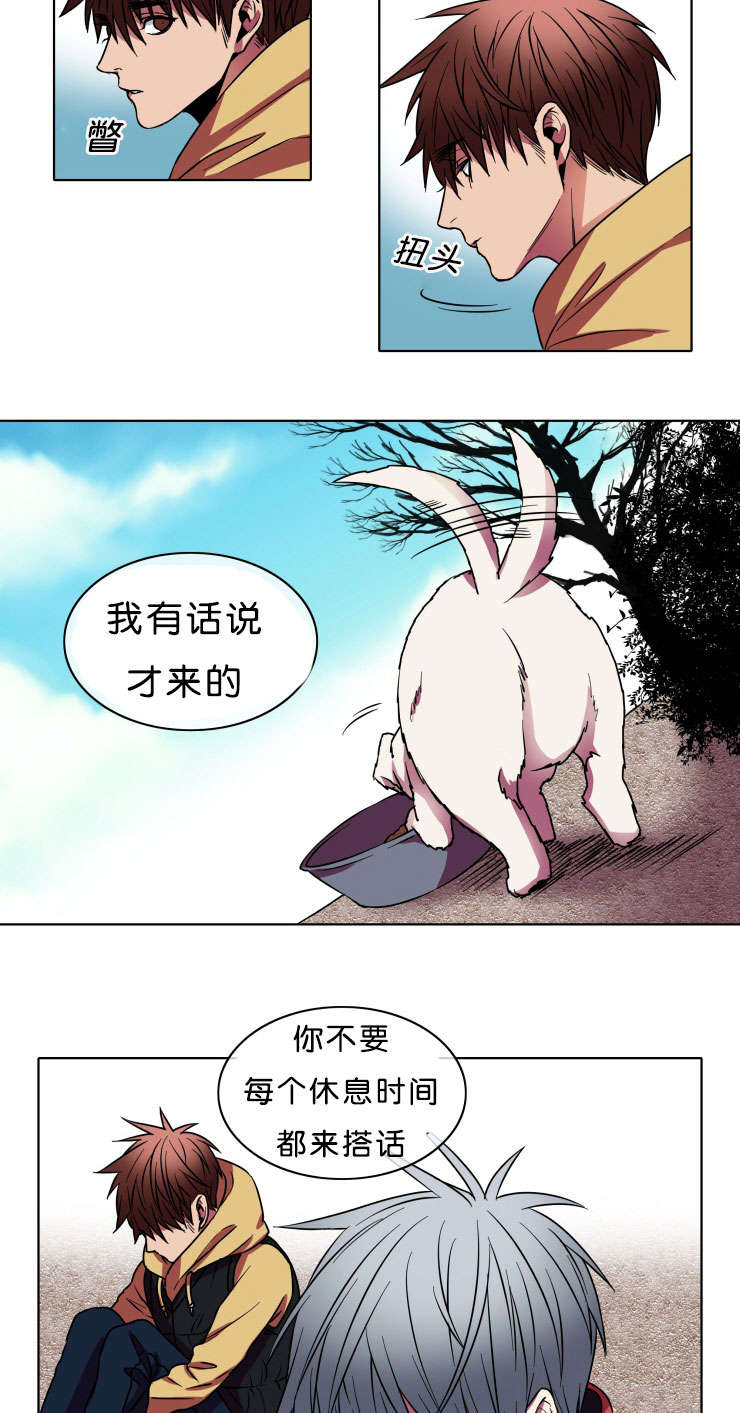 能发光的灯笼怎么做视频漫画,第8话2图