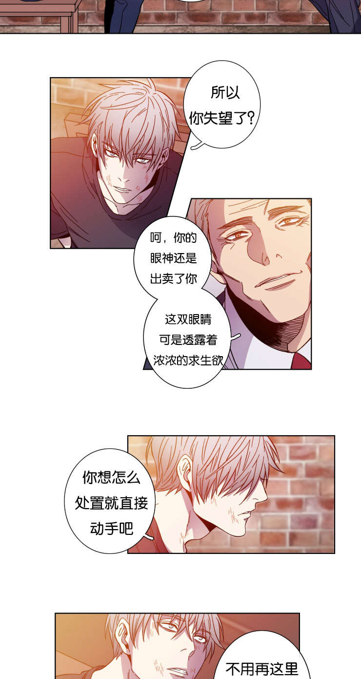 能发光的灯笼怎么做视频漫画,第56话1图