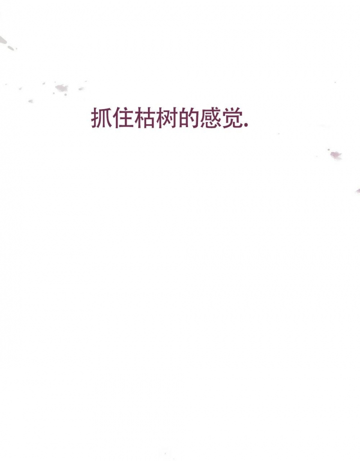 太阳的痕迹完结漫画,第17话1图