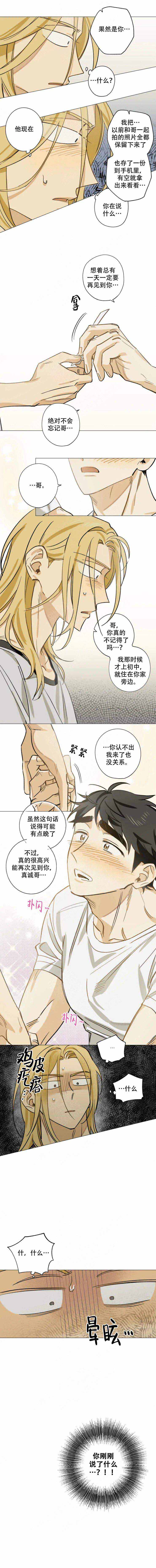 记忆中的年漫画,第20话1图