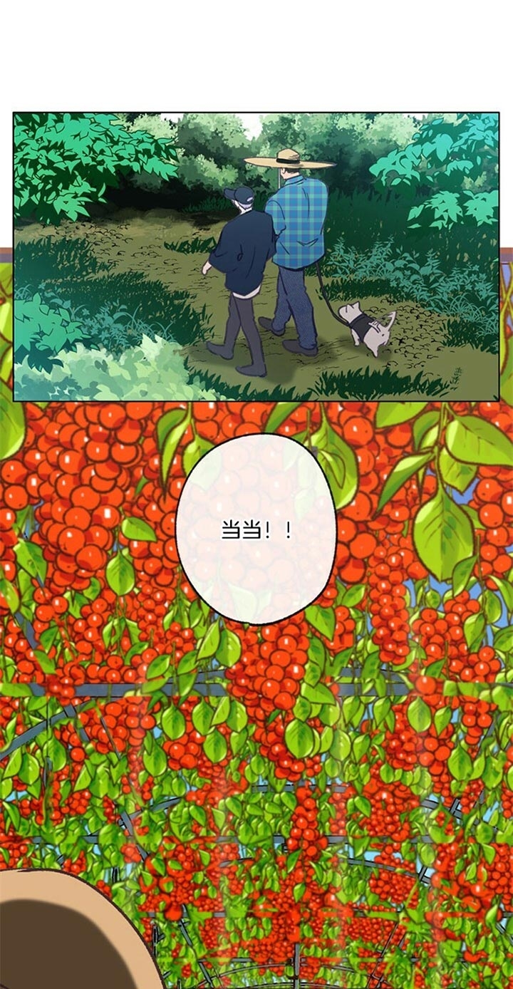 恋与拖拉机少年漫画下拉式多久更新漫画,第89话1图