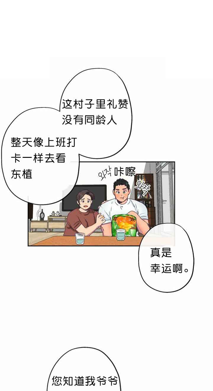 恋与拖拉机少年漫画免费漫画,第10话1图