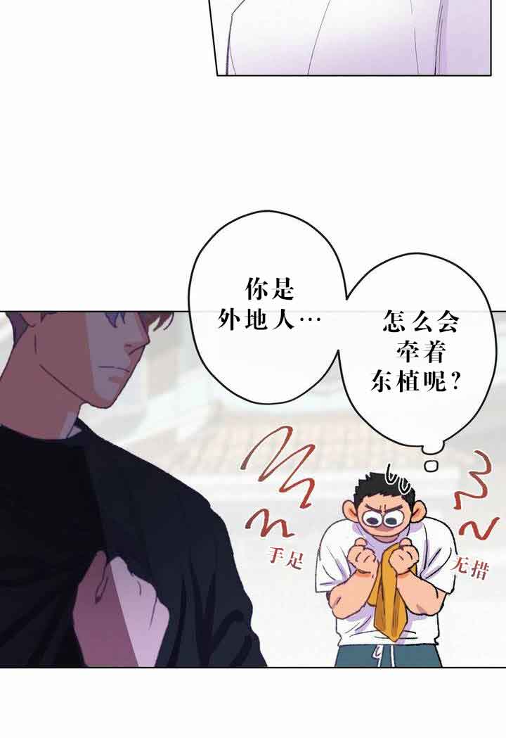 恋与拖拉机少年漫画免费漫画,第6话2图