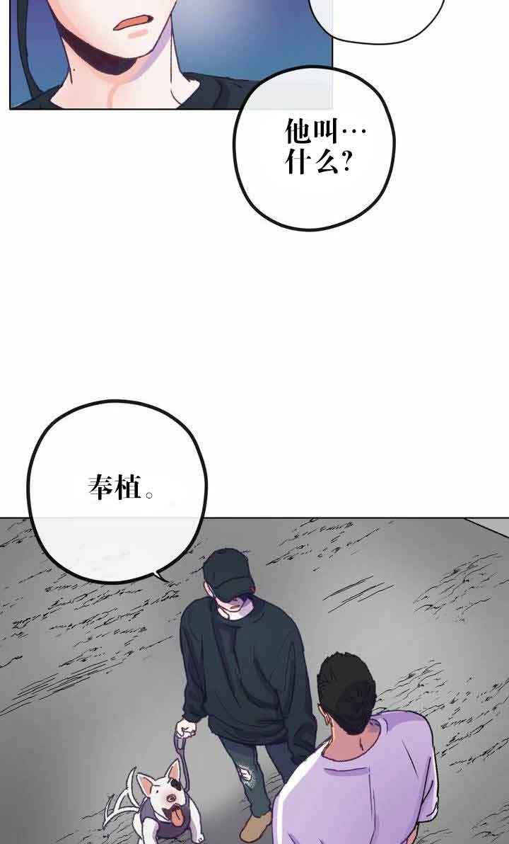 恋与拖拉机少年漫画免费漫画,第6话1图