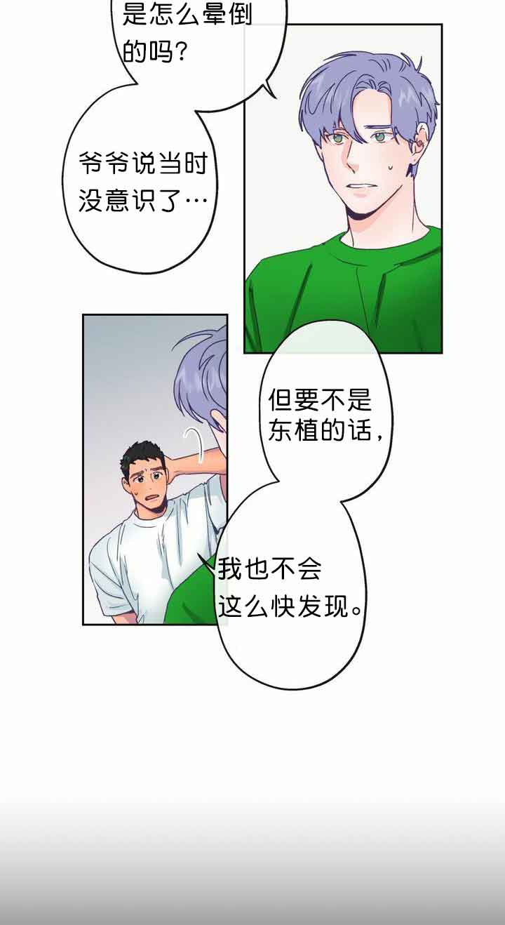 恋与拖拉机少年漫画免费漫画,第10话2图