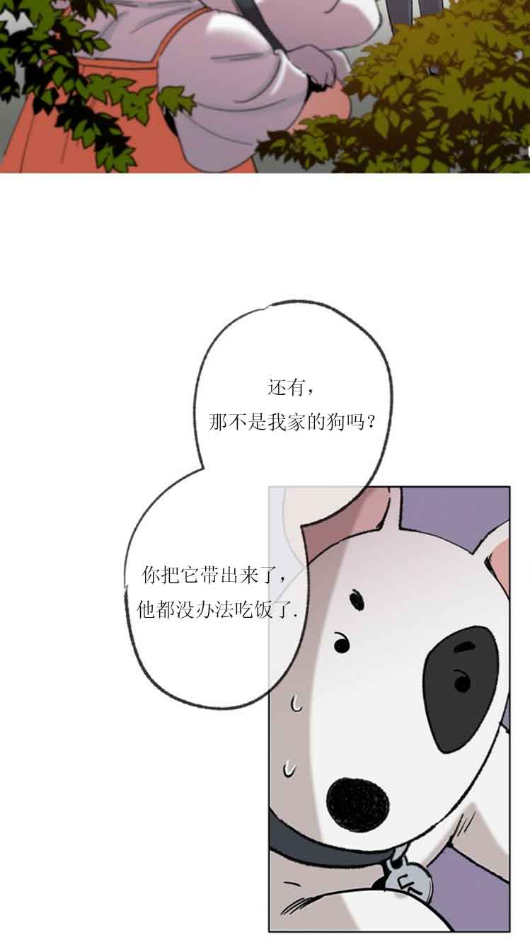 恋与拖拉机少年完整版资源漫画,第33话2图