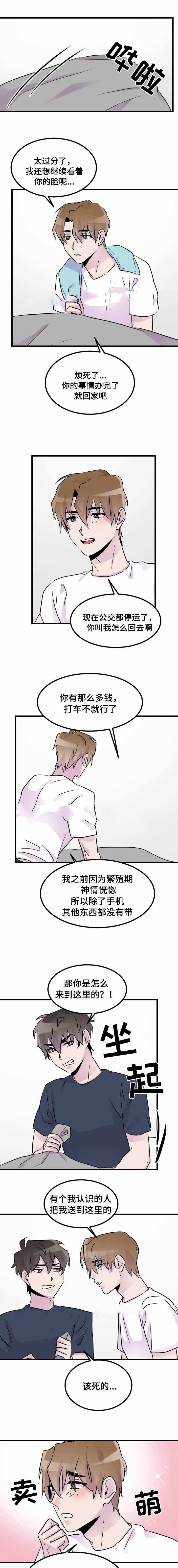 豪客来用的什么哪个品牌的黑胡椒酱漫画,第21话2图