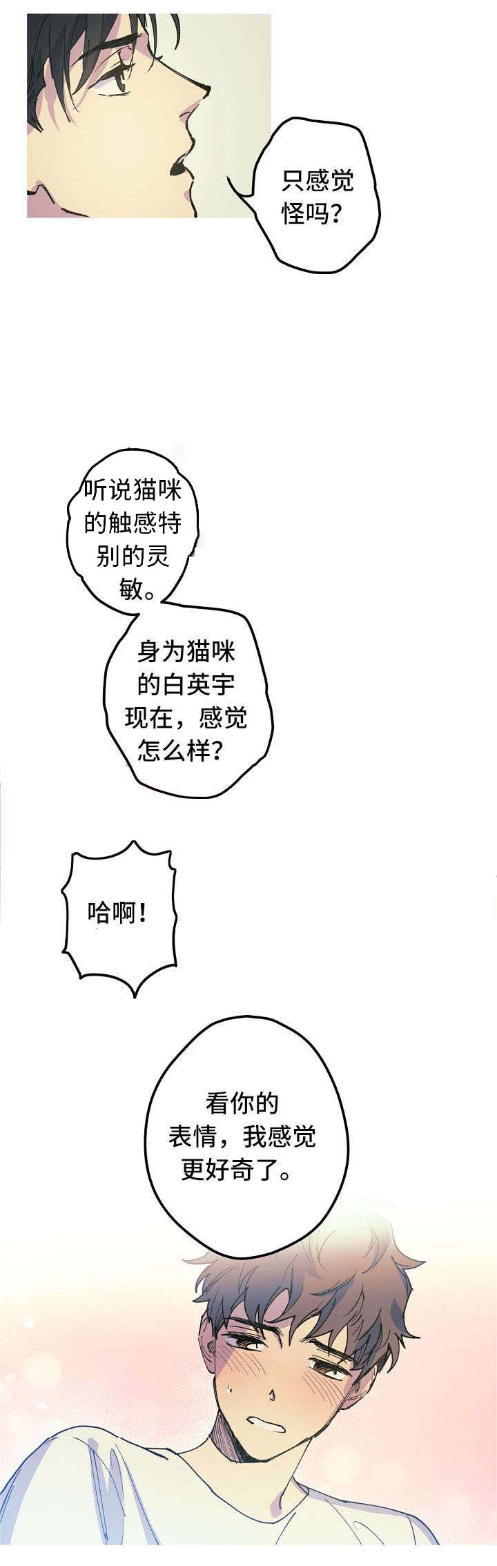 男友背着我算命漫画,第17话2图