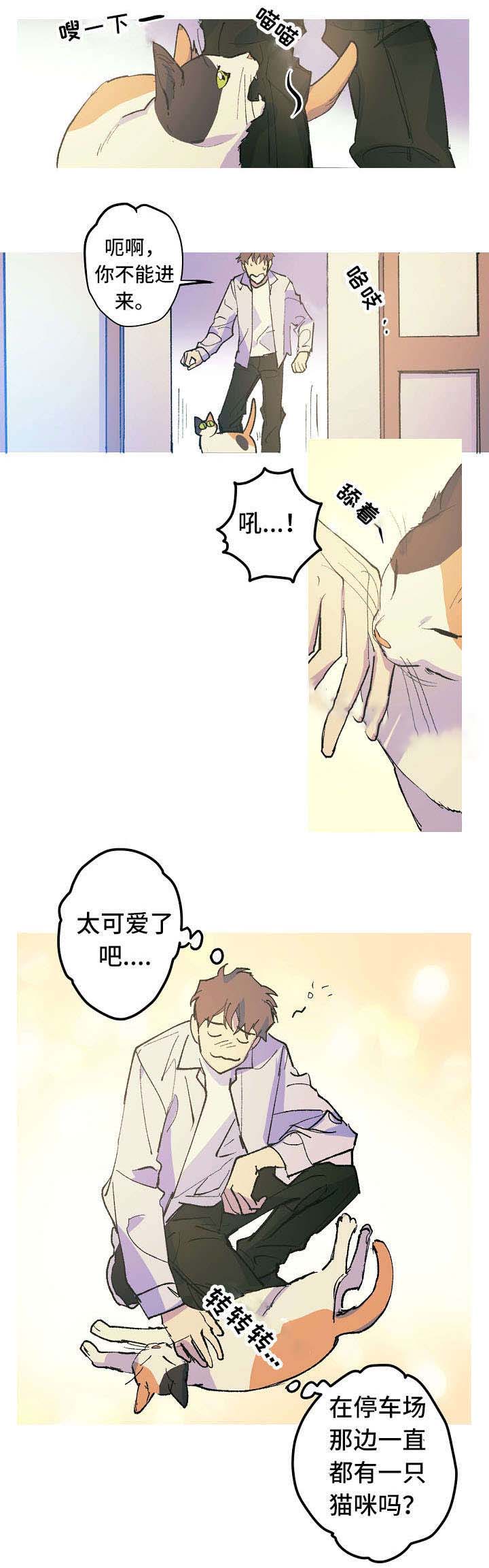 男友背着我算命漫画,第12话1图