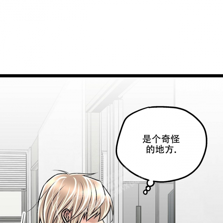 爱情疗方漫画,第8话1图