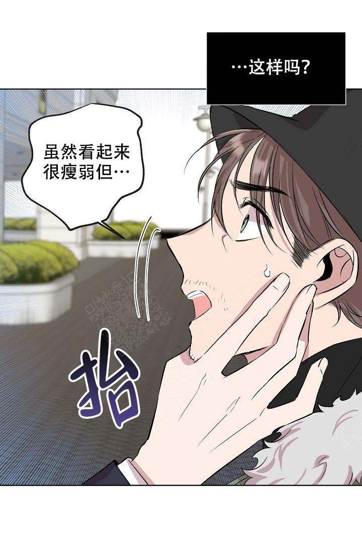 帮帮我吧漫画,第2话2图