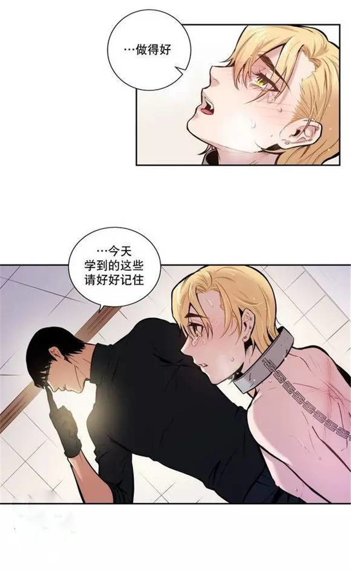 狼人卡特漫画免费看漫画,第21话1图