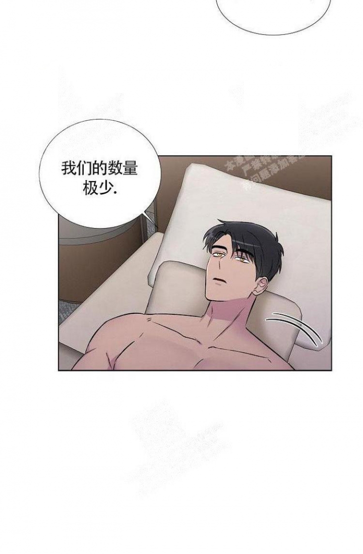 羽下面一个高念什么漫画,第17话1图