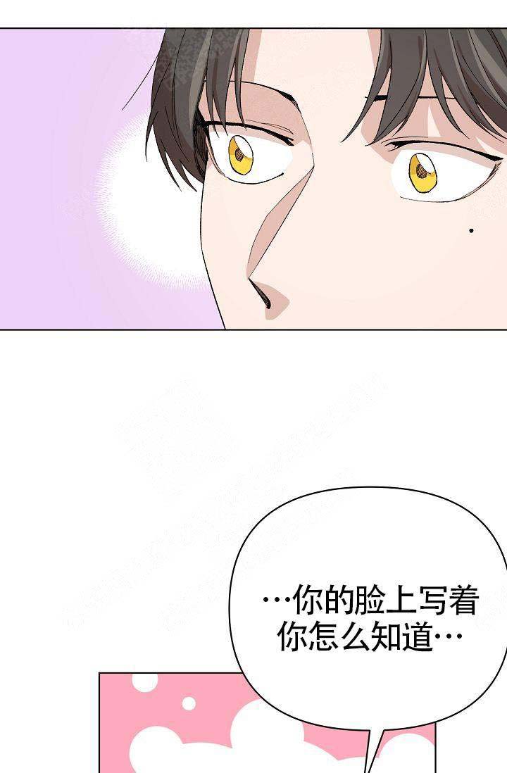 喂这是我的龙txt微盘漫画,第14话1图