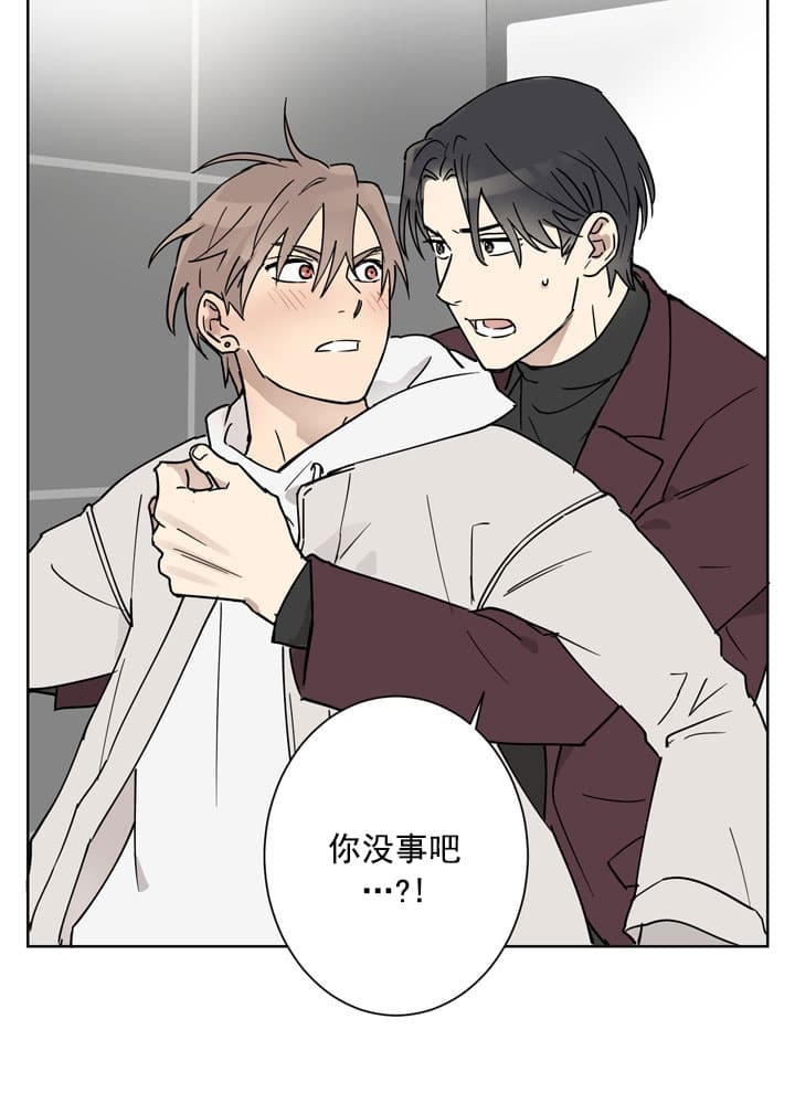 不堪回首是什么动物漫画,第4话1图