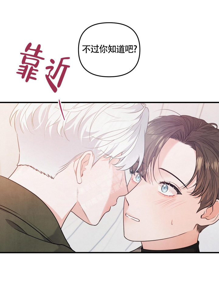 狗狗的恋爱动漫全集漫画,第22话1图