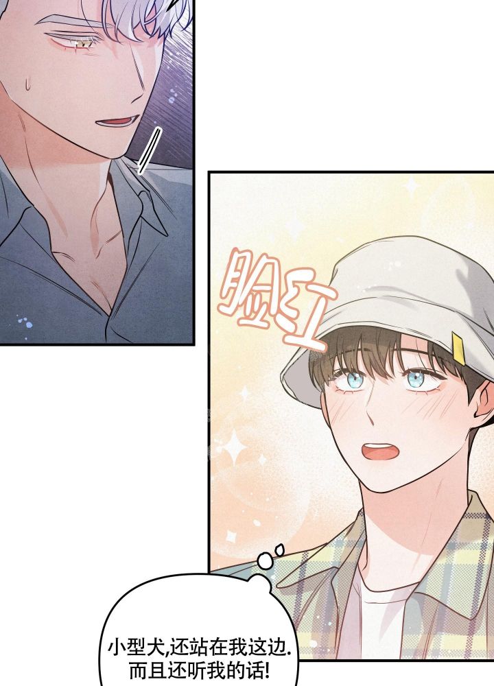 狗狗的电影大全漫画,第4话1图