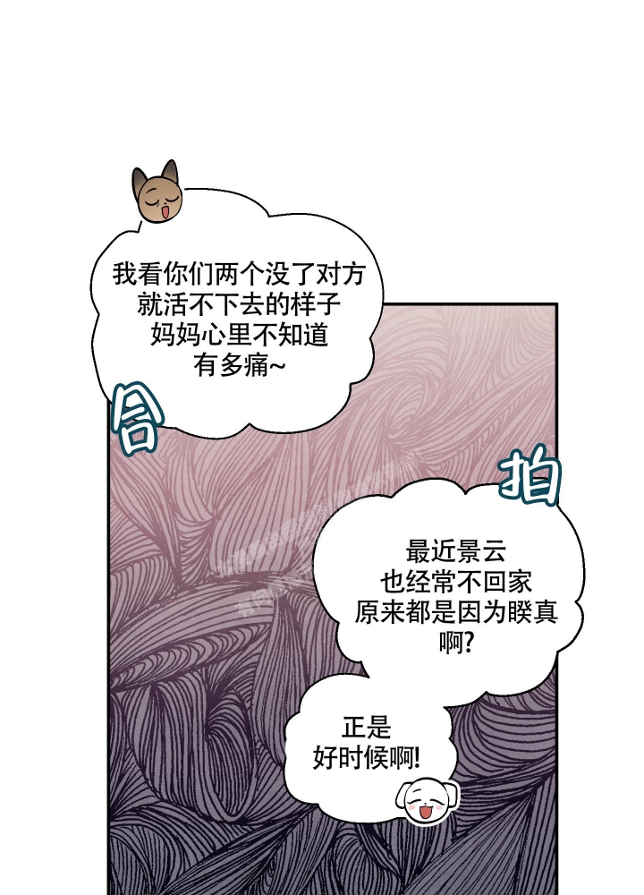 狗狗的疯狂假期中文版电影免费漫画,第34话1图