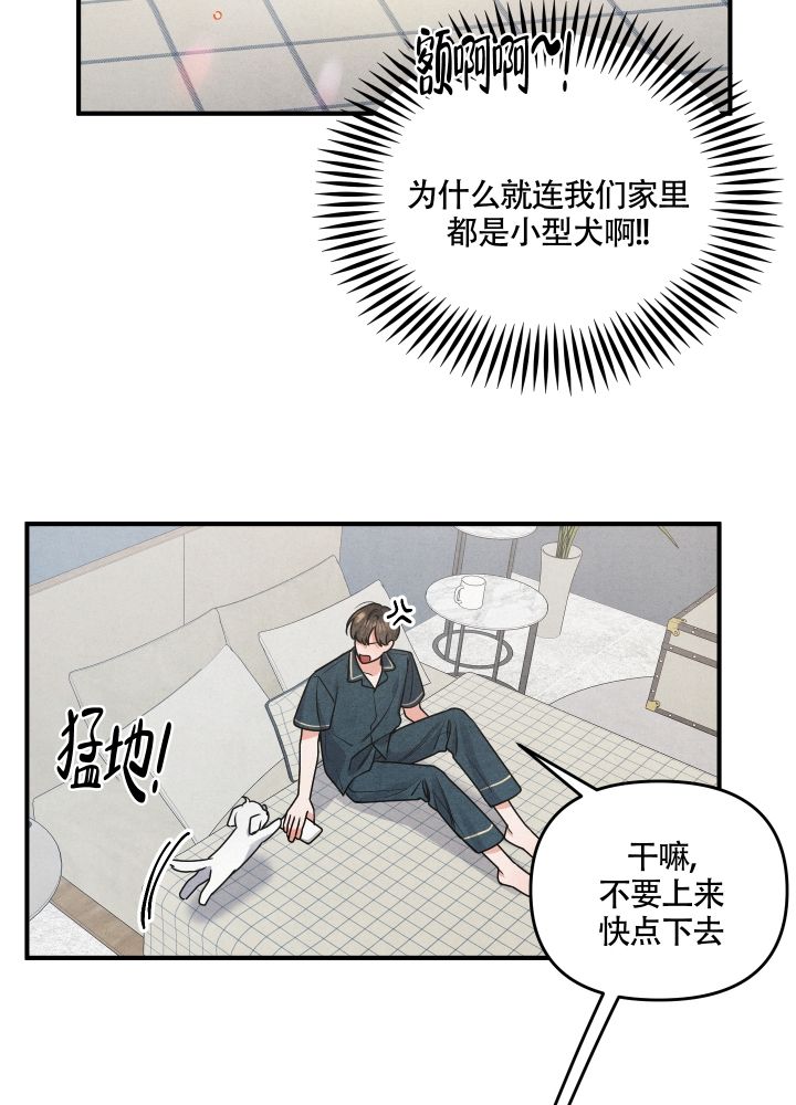 狗狗的简笔画图片大全漫画,第1话1图