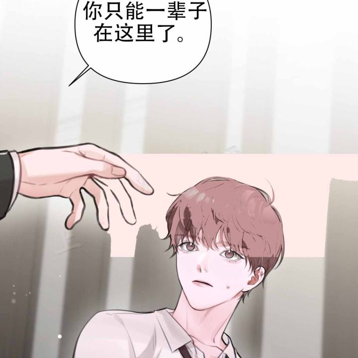 囚笼日志小说名漫画,第9话2图