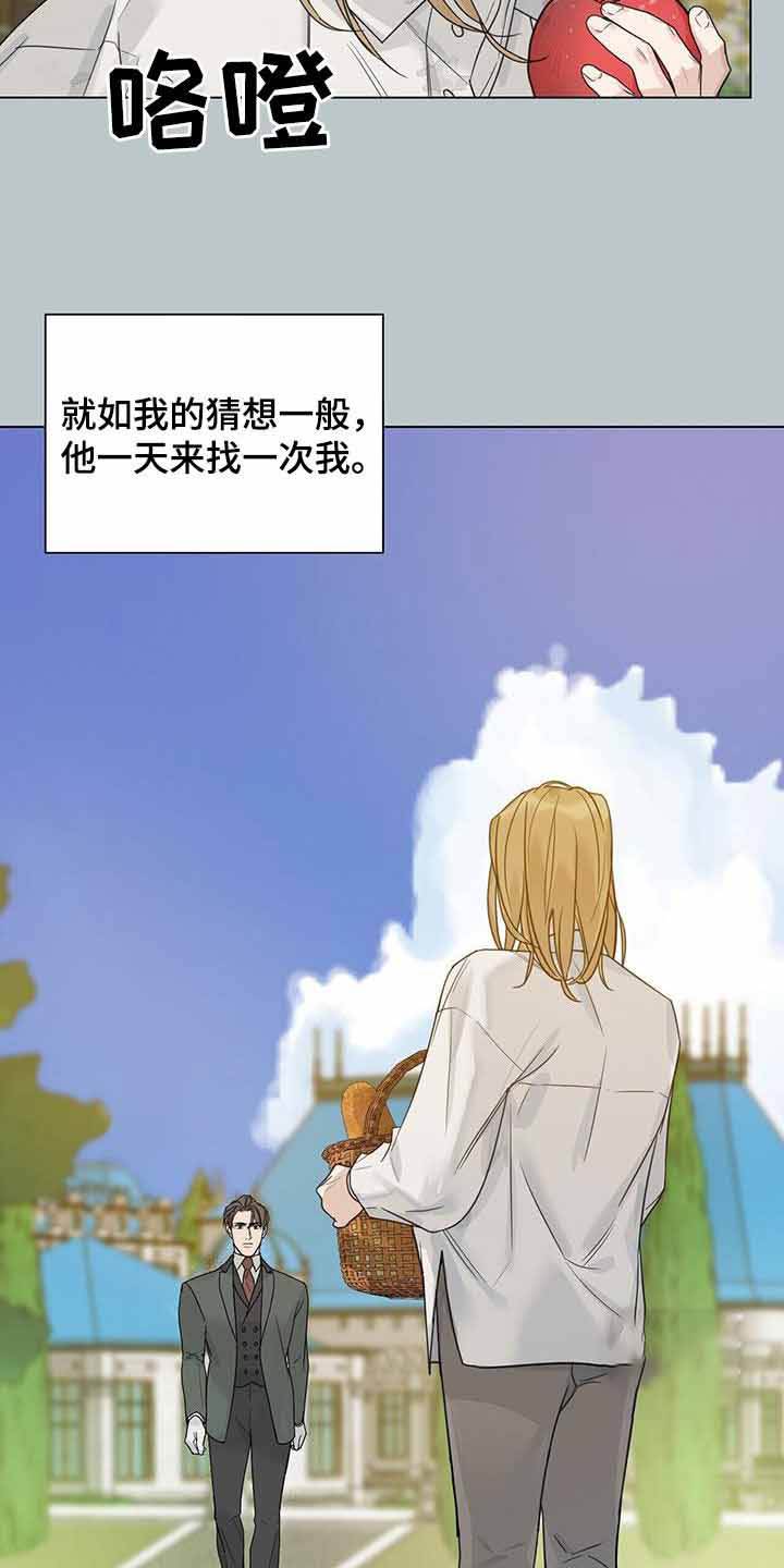 走进玫瑰园第三世讲了什么漫画,第28话2图