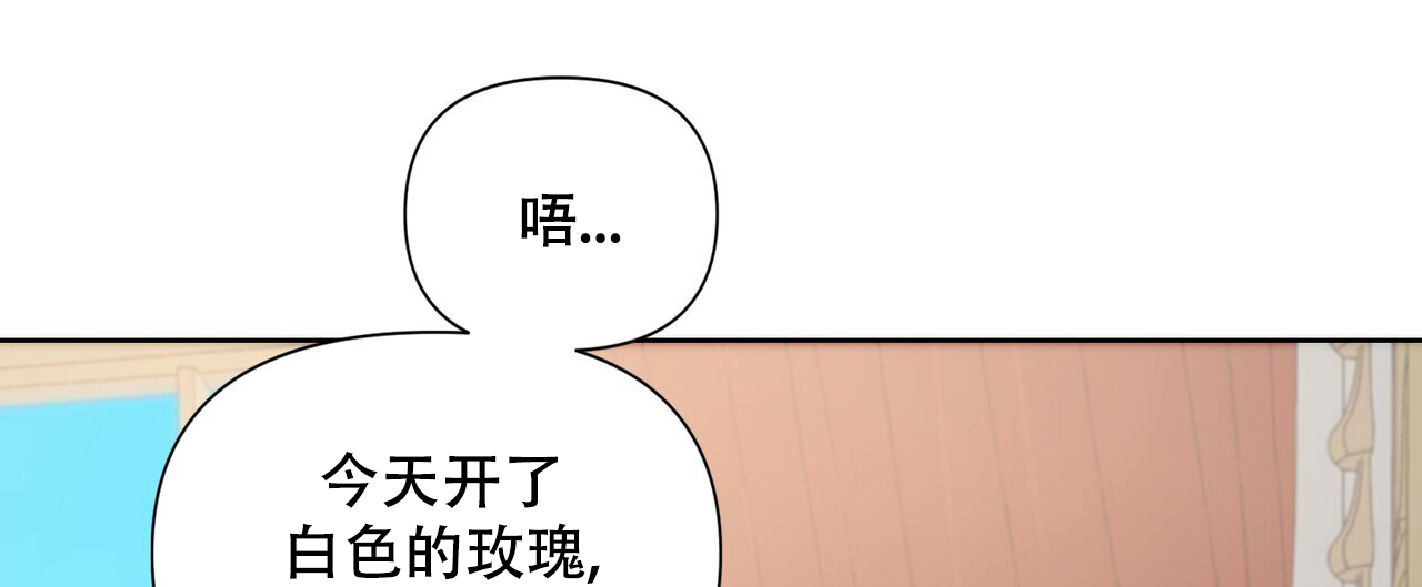 走进玫瑰园免费完整版漫画,第3话2图