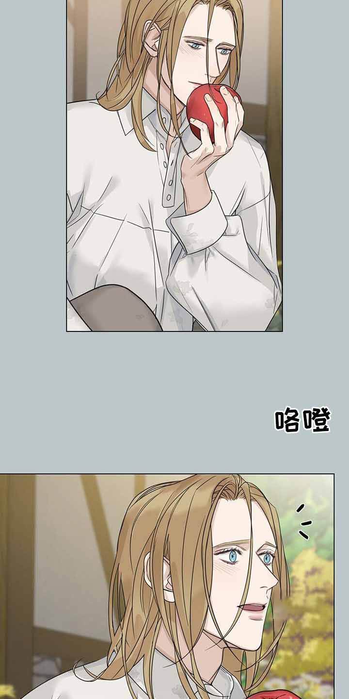 走进玫瑰园第三世讲了什么漫画,第28话1图