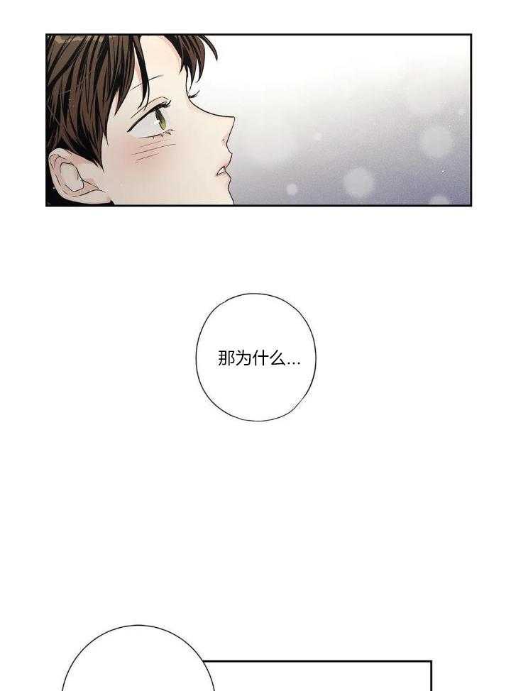 爱情是幻想漫画完整版资源漫画,第188话2图