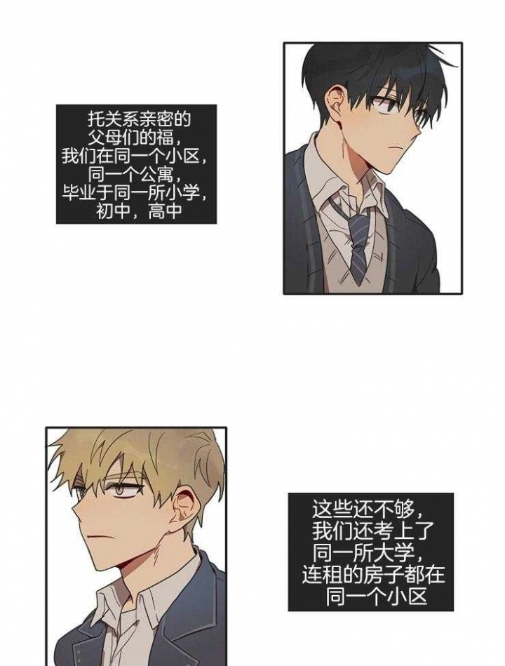 灵魂互换后摄政王在后院杀疯了番茄漫画,第1话2图