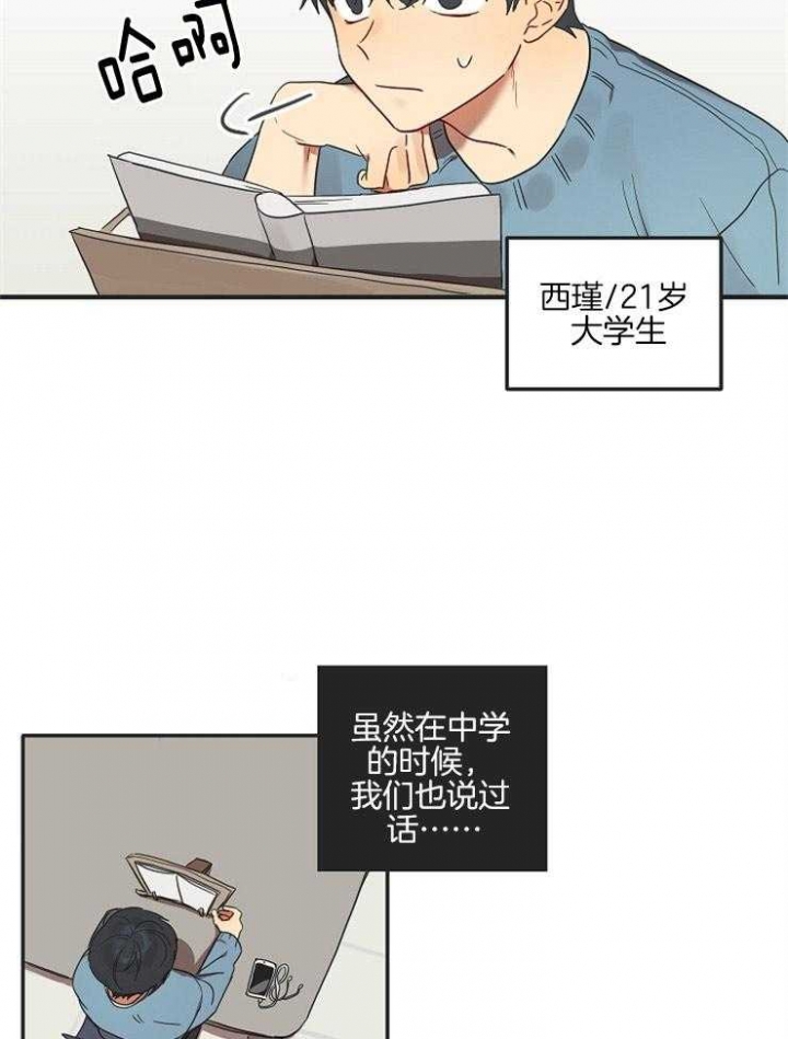 灵魂互换后摄政王在后院杀疯了番茄漫画,第1话2图