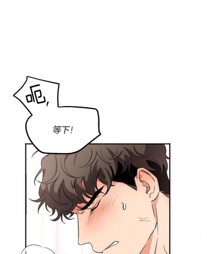 黑帮大佬也会辞职在线免费观看漫画,第6话2图