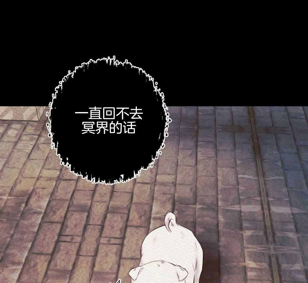 鬼夜曲韩国漫画免费阅读漫画,第24话2图