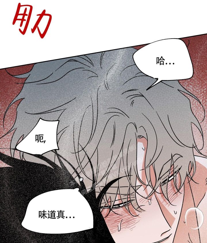 等价交换升级漫画,第54话2图