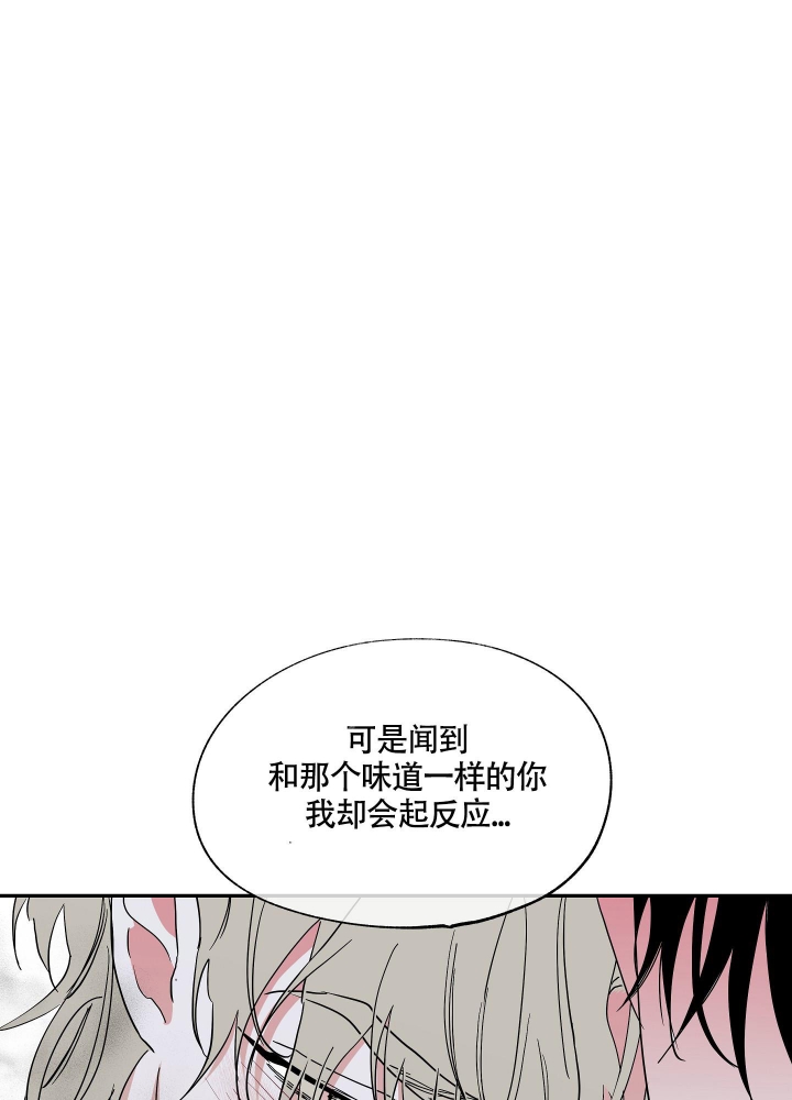 等价交换怎么给物品定价漫画,第19话1图