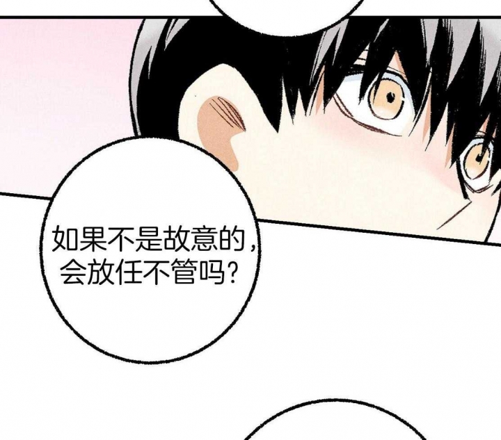 完美密友漫画双男主白英灿漫画,第29话1图