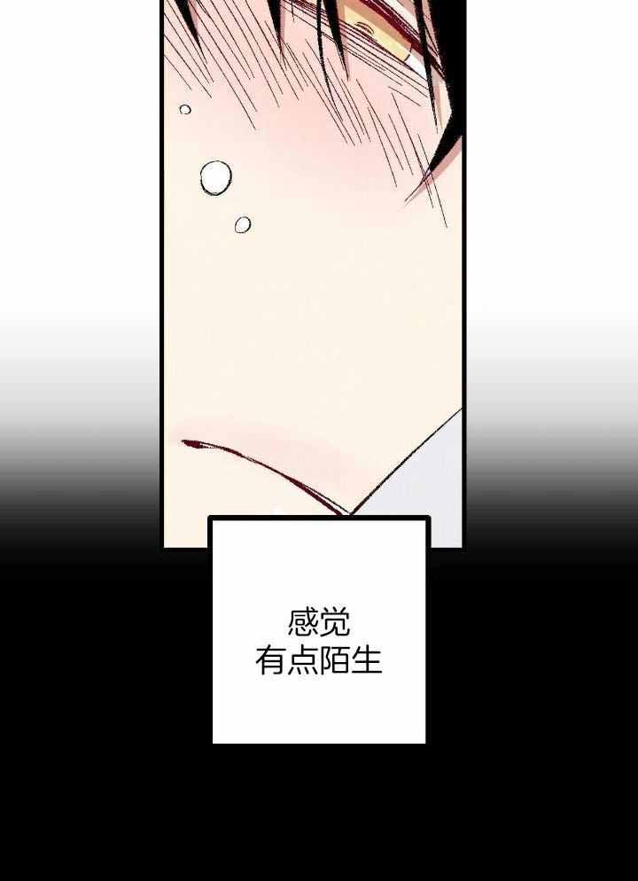 完美密友搭档漫画,第78话1图