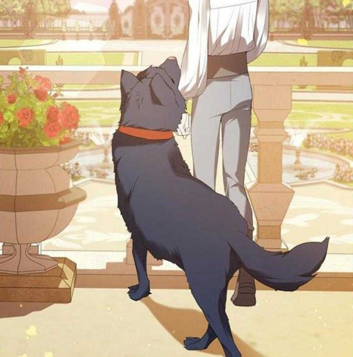 异世界骑士第二季漫画,第47话1图
