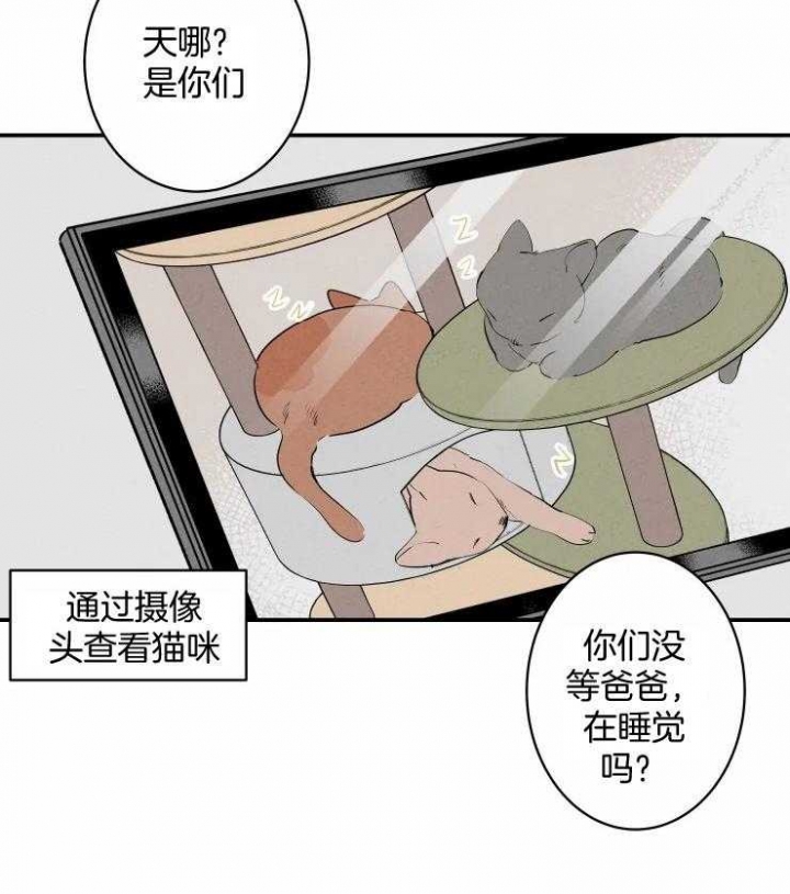 结婚?可以啊/结婚跟我结婚吧漫画,第61话1图